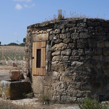La Casa Del Lino Villa Torrebesses Kültér fotó
