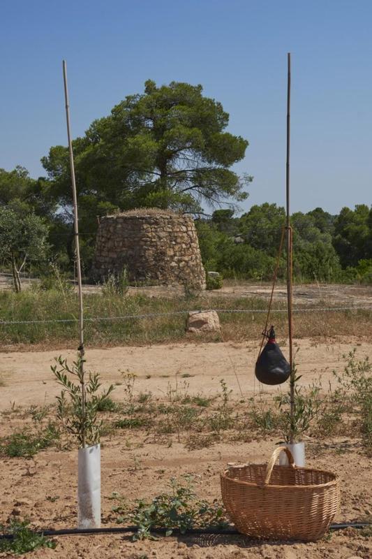 La Casa Del Lino Villa Torrebesses Kültér fotó